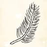 Scriboodle icon
