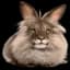 Cheremsha RP icon