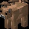 RareSight icon