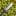 Camouflaging Armour icon
