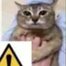 kitty creeper alarm icon