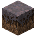 Mycelium icon