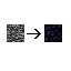Bedrock to Obsidian icon