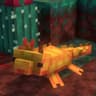 Nether's Exoticism icon