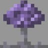 Mycoscape icon