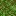 More Kelp icon