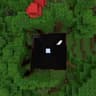 Minecraft, but Chunks get Invisible icon