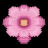 Bushy Round Blossoms icon