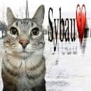 Just SYBAU icon