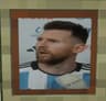 Totem Que miras bobo icon