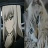 Girls und Panzer (GuP) HD Paintings icon