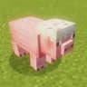 cake pig icon