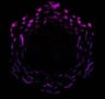 Space Remix icon