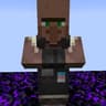 Pride Villager Badges icon