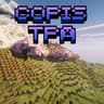 Copis TPA icon