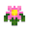Fluorish icon