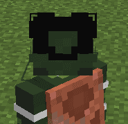 Skinss+ icon