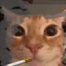 cat cigarette resource pack icon