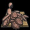 Platter icon