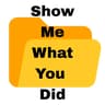 Show Me What You Did icon