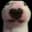 Minecraft But it's all Walter icon