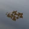 Wynn Tiny Dernic Crops icon