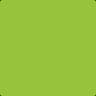 Lime Netherite icon