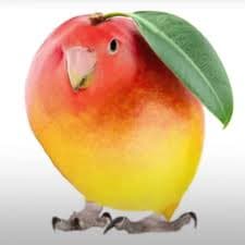 The Mango Bird icon