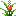 Wild Flowers icon