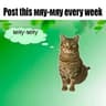 Post this мяу-мяу every week icon