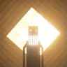 The Plague Of The Moon icon
