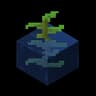 Taller Kelp icon