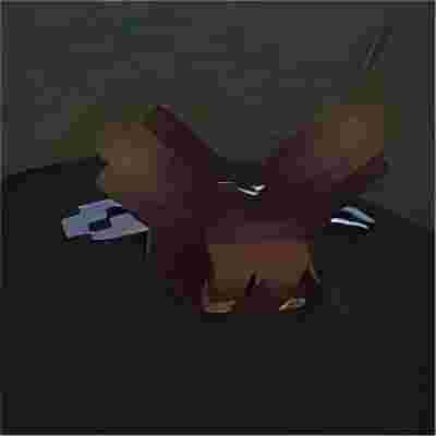 Wild Wind icon
