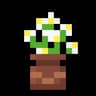 Bare Bones x Fresh Flower Pots icon