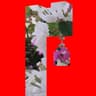 Wholesome Changes icon
