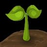 Soiled icon
