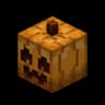 Cute-Pumpkins icon