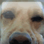 SnowBoundSMP icon