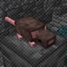 RAT's Mischief icon