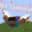 flipWings icon