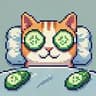 Catnip icon