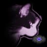 Mixtree Music Discs icon
