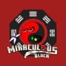 Miraculous Block icon
