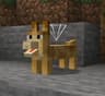 The Corgi Mod icon