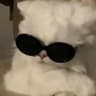 FraggyCarpetAternos icon