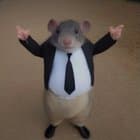Richard Pack The Squeakuel icon