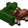 Horse Break Leaves icon