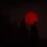 Intense Horror icon