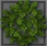 Better BushyLeaves icon