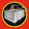 Flash Carts icon
